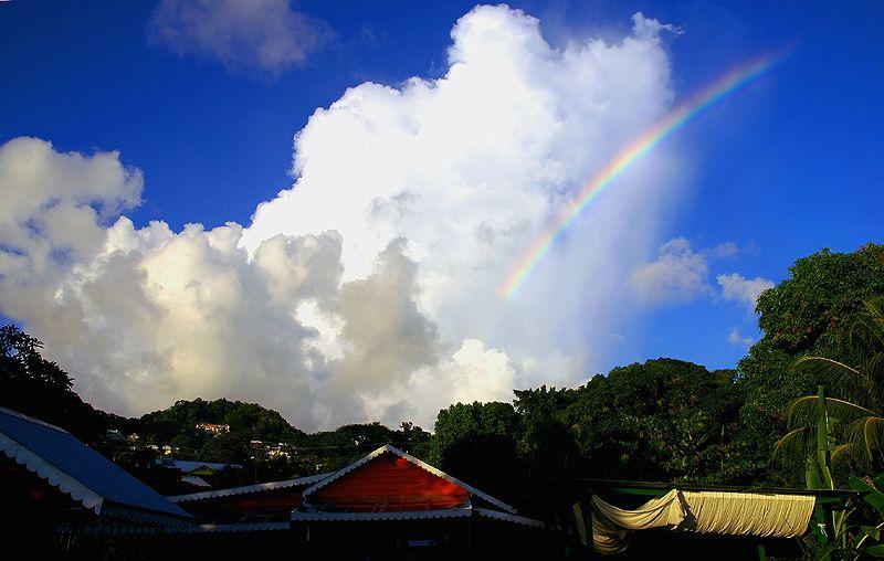 Fotky: Svat Vincent a Grenadiny (foto, obrazky)
