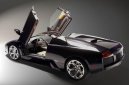 Fotky: Lamborghini Murcielago Roadster (foto, obrazky)