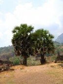 Laos