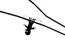 Play Line boarder / Sportovn� hry on-line