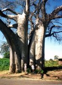 Malawi