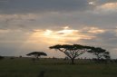 Tanzanie (cestopis)