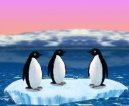 Hry on-line:  > Turbo Penguins (vtipn free hra on-line)