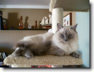 Fotosout�: Bella dosp�l�