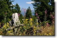 Pohled na Tatry