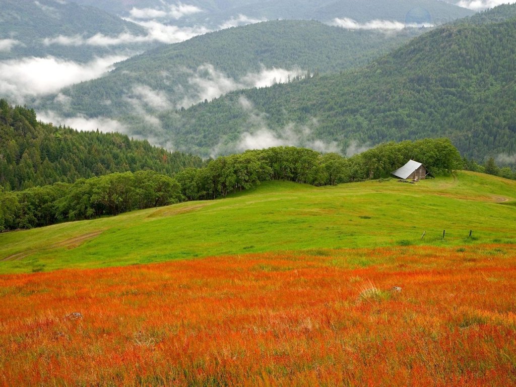 Foto: Historic Barn, Bald Hills, Redwoods National Park, California