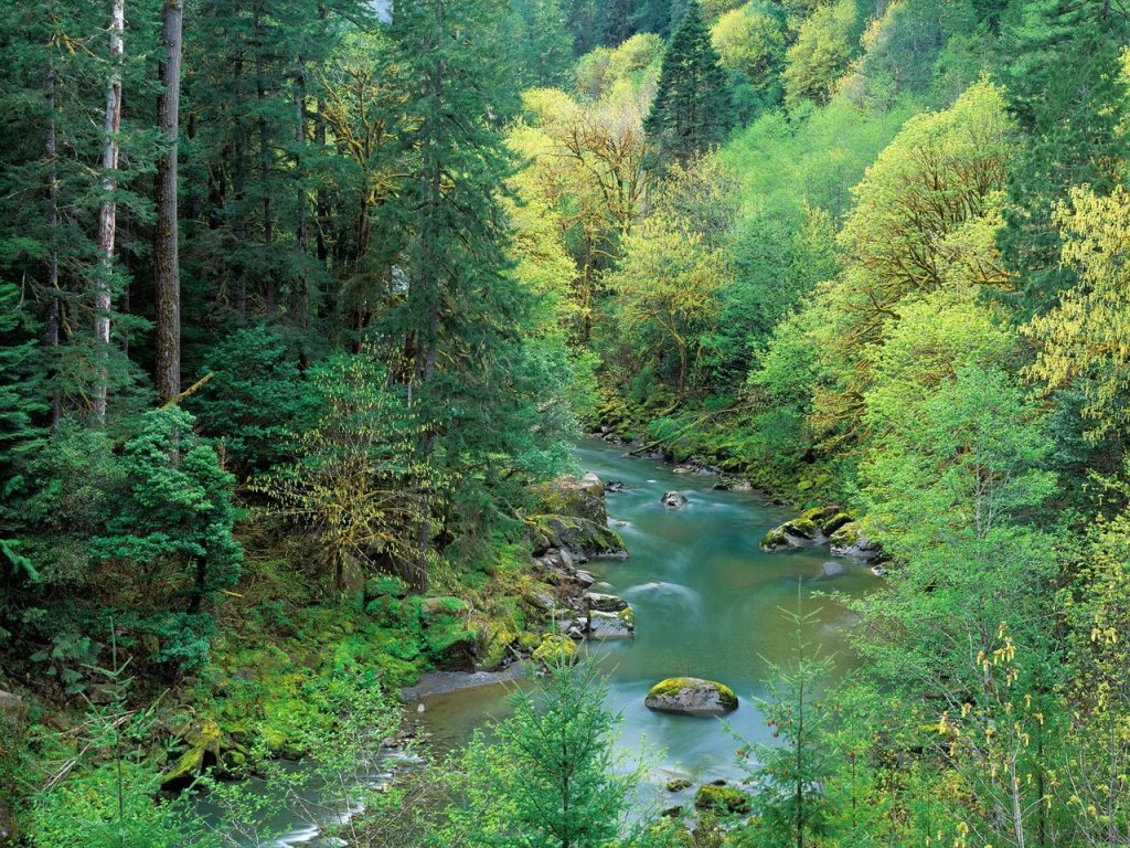 Foto: Coquille River In Spring, Siskiyou National Forest, Oregon