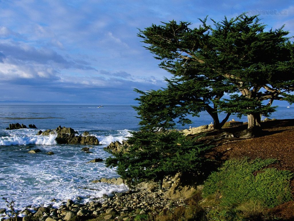 Foto: Pacific Grove Coastline, California