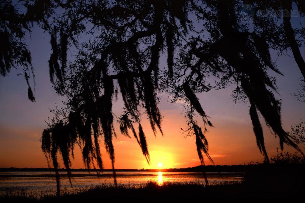 Foto: Sunset Light On The Myakka River, Florida