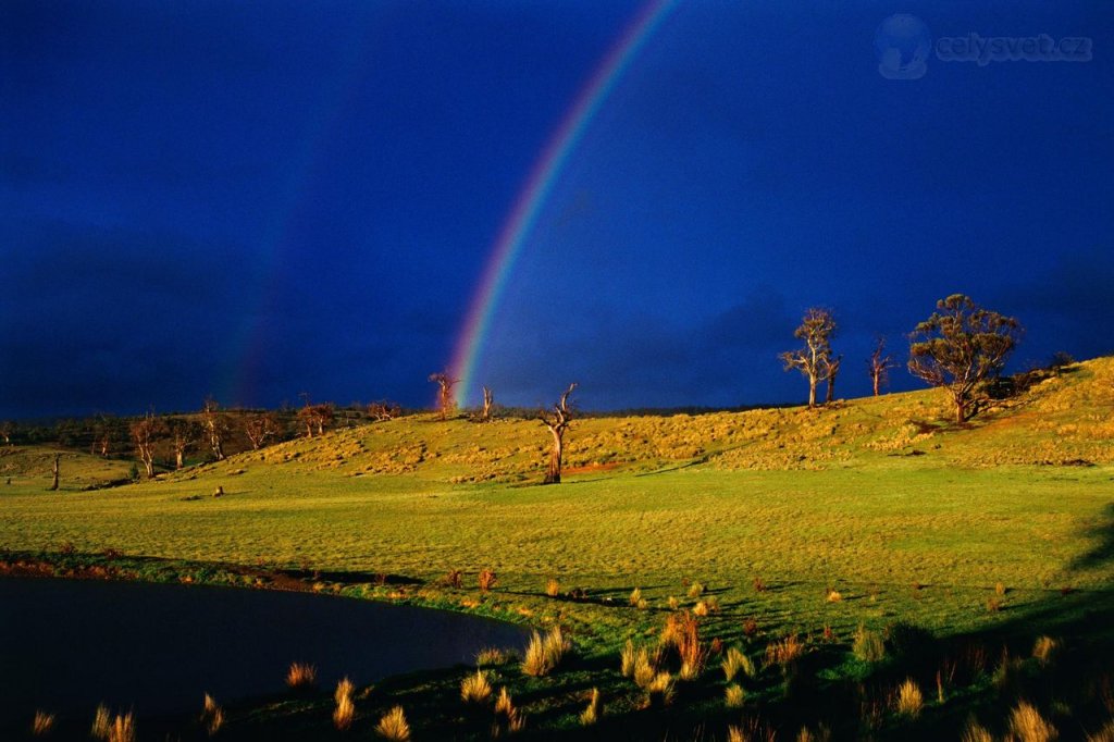 Foto: Tasmanian Rainbow, Australia