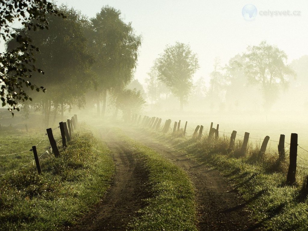 Foto: Misty Morning, Lower Saxony, Germany