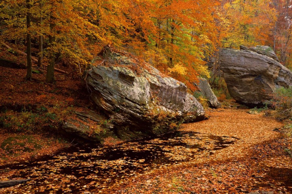 Foto: Smith Springs Recreation Area, Shawnee National Forest, Illinois