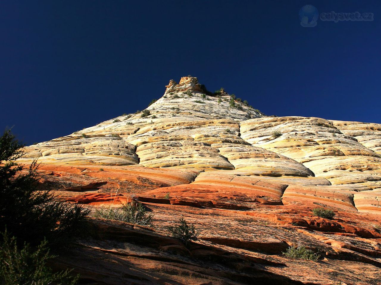 Foto: Checkerboard Mesa, Zion National Park, Utah 2