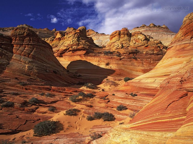 Foto: Slickrock Formation, Paria Canyon Vermillion Cliffs Wilderness Area, Arizona