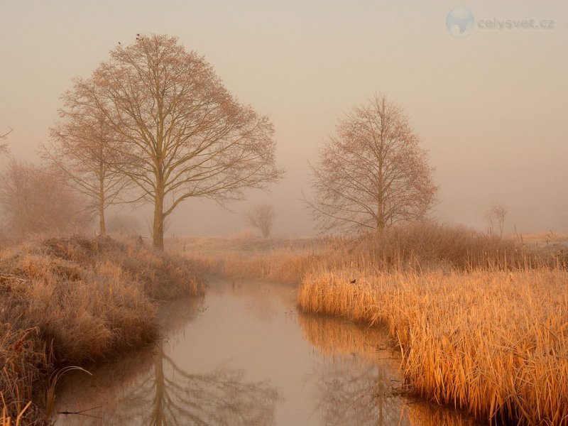 Foto: Skagit Flats In Winter, Washington