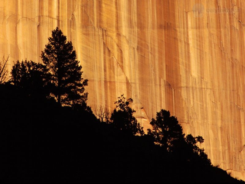 Foto: Zion National Park, Utah