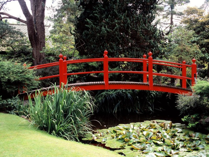 Foto: Japanese Garden, County Kildare, Ireland